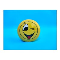 ROOST Sparkasse 12.3x7.2x11.7cm TG216472B liebes Gesicht