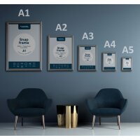 EUROPEL Cadre porte-affiche premium, B1, 25 mm, argent