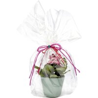 folia Film pour emballage cadeau, 20 microns, non...