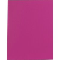 folia Zeichnungsmappe, aus Fotokarton, DIN A4, pink