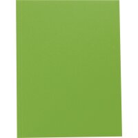 folia Carton à dessin, en carton, A4, vert