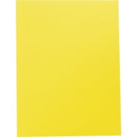 folia Carton à dessin, en carton, A4, jaune