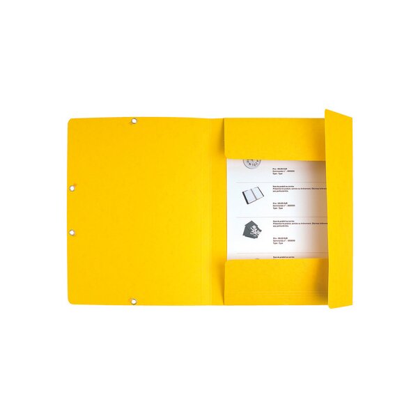 EXACOMPTA Eckspannermappe, DIN A4, Karton, farbig sortiert