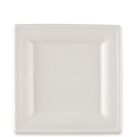 NATURE Star Zuckerrohr-Teller, quadratisch, 260 x 260 mm
