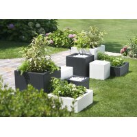 tera Pflanzwürfel "Schio Cubo 60", antracite