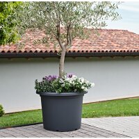 tera Jardinière Menfi, diamètre: 970 mm,...