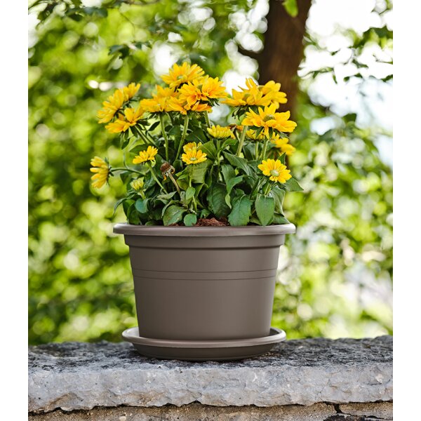 tera Pot de fleurs Basic round, diam.: 180 mm, terracotta