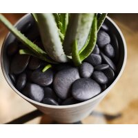 tera Pierres décoratives Pebbles, taille S, noir