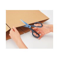 PLUS JAPAN Ciseaux universels FITCUT CURVE Titanium, bleu