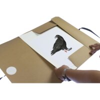 kangaro Carton à dessin Kraft, 500 x 700 mm, avec...