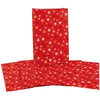 CACTUS Pochette cadeau de Noël Étoiles,...