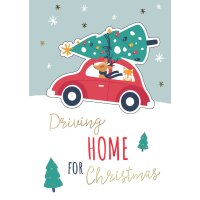 CACTUS Weihnachtskarte "Weihnachtsstern"