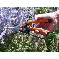 Garten PRIMUS Ersatzfeder für kleine Buchsbaumschere