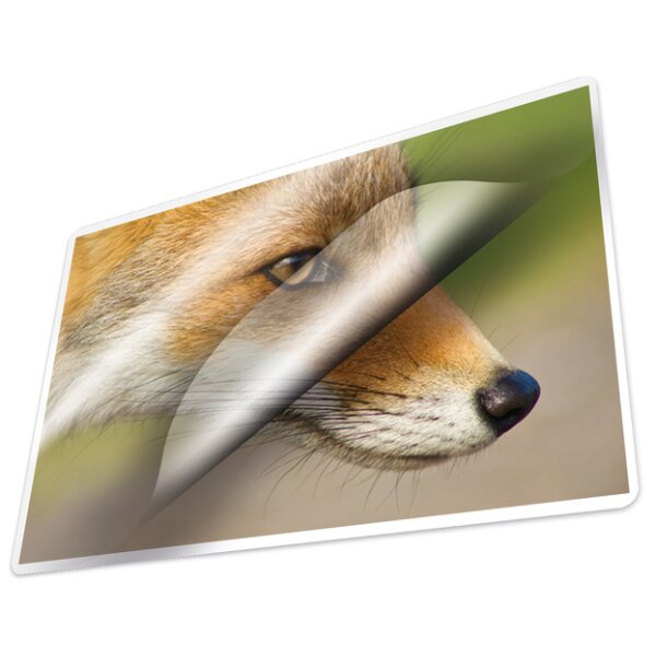 kangaro Pochette de plastification, A4, 250 microns