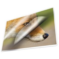 kangaro Laminierfolientasche, DIN A3, glänzend, 250 mic