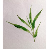 Clairefontaine Aquarellblock BAMBOO, DIN A4, 250 g qm