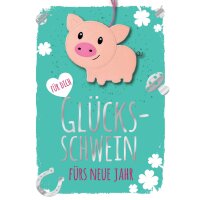 CACTUS Neujahrskarte mit Filzschwein