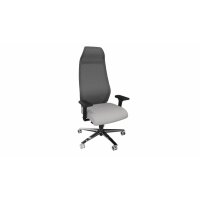 ZÜCO Chaise de bureau Selvio-E SV0146 gris