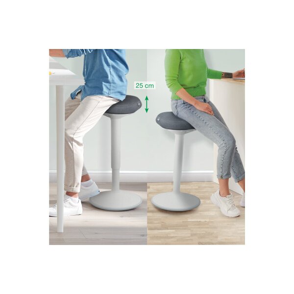 LEITZ Tabourets de bar Ergo Acitv 6545-00-85 gris clair