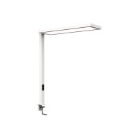 MAUL Tischleuchte MAULsenja 511.00 Bewegung-/Lichtsensor,...