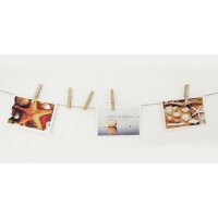 KLEIBER Pince à linge, en bois, longueur: 20 mm