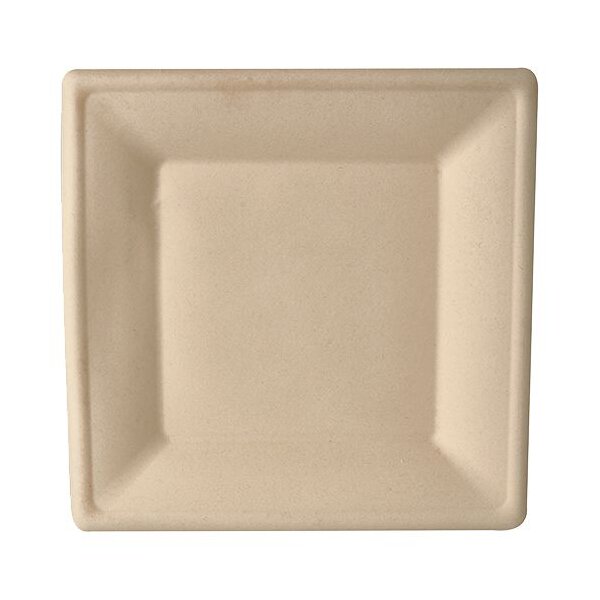 PAPSTAR Zuckerrohr-Teller "pure", eckig, 155 x 155 mm, 50er
