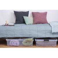 plast team Boîte de rangement HOME BOX BEDROLLER...