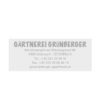 COLOP Textstempel Printer 40 Green Line, 6-zeilig, Gutschein