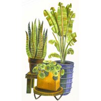 COPIC Marqueur ciao LAYER & MIX Starter Set, Botanic