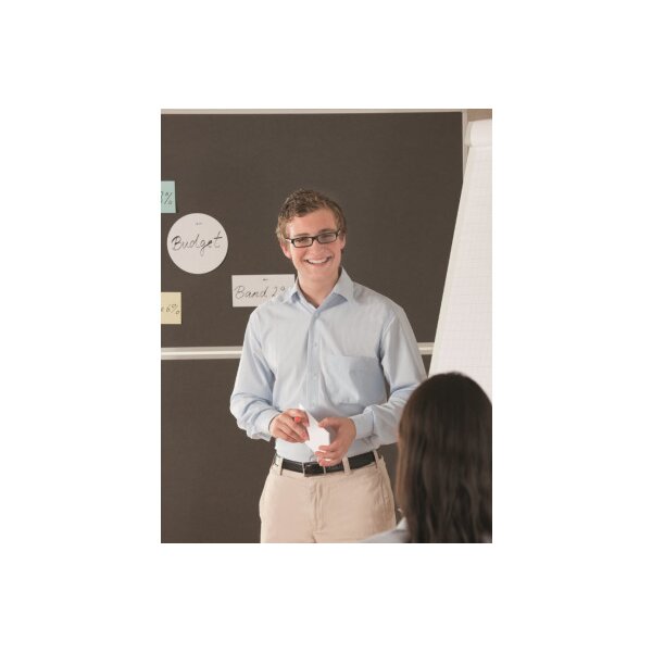 MAGNETOPLAN Cartes de présentation 20x10cm 111151510 ass. 500 flls.