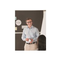 MAGNETOPLAN Cartes de présentation 20x10cm...