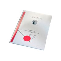 LEITZ Sichtmappen Premium A4 41530099 4-farbig 100...