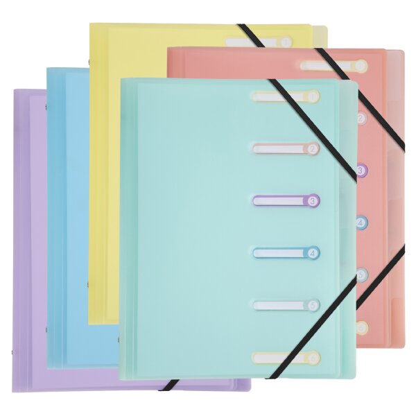 EXACOMPTA Trieur Chromaline, A4, 6 compartiments, assorti
