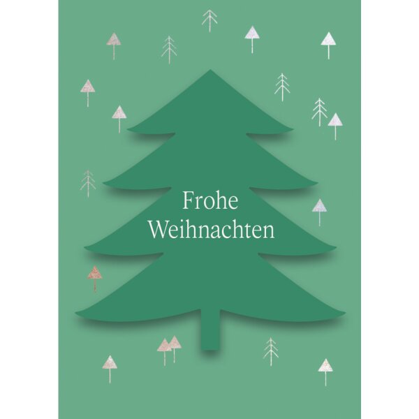 CACTUS Mini-Weihnachtskarte "Stern"