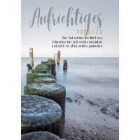 CACTUS Trauerkarte "Steg aus Pflöcken"