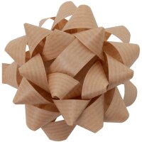 CACTUS Geschenkrosette, 80 mm, farbig sortiert