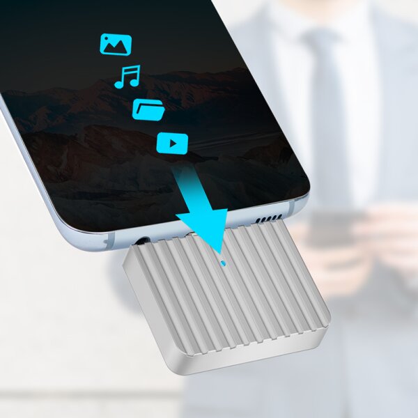 LogiLink Boîtier SSD externe, USB-C - PCIe NVMe, argent