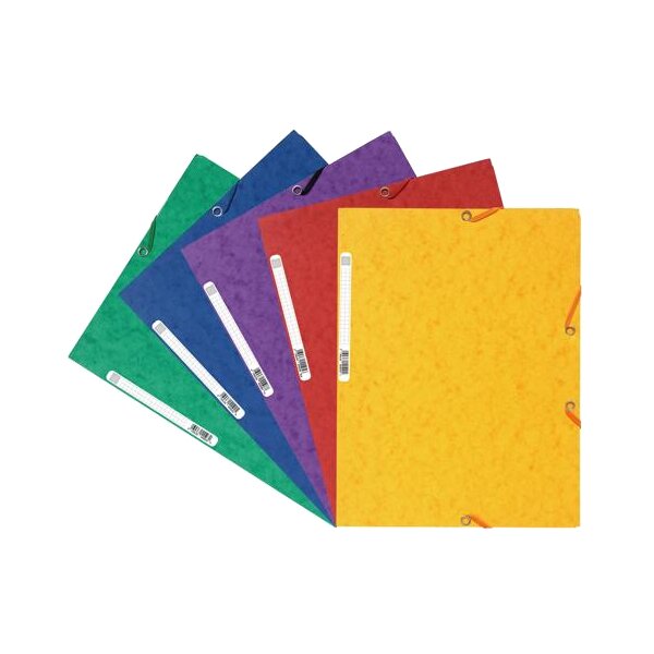 EXACOMPTA Chemise à élastiques, A4, carton, assorti