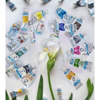 ROYAL TALENS Coffret en bois aquarelle Van Gogh, set de 24