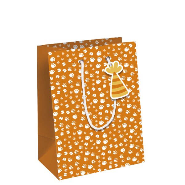 Clairefontaine Geschenktüte "Safari", klein