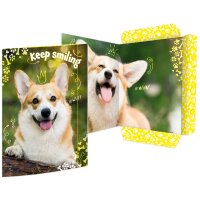 RNK Verlag Carton à dessin Corgi, carton, A3