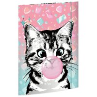 RNK Verlag Carton à dessin Sweet Cat, carton, A3