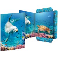 RNK Verlag Carton à dessin Dauphin, carton, A3