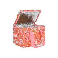 ALLC Kühltasche 23x16x16cm CBFUCO28 Fun