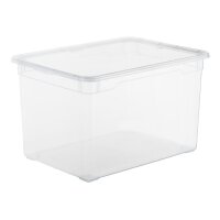 ROTHO Clear Box 46l 1415000096WS transparent