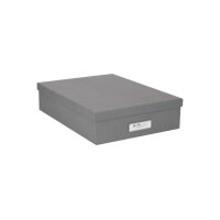 BIGSO BOX OF SWEDEN Aufbewahrungsbox Oskar 945154141 grau...