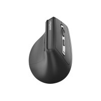 RAPOO EV310M Ergo. Wirel. Mouse 13049 Multi-Mode, Grey