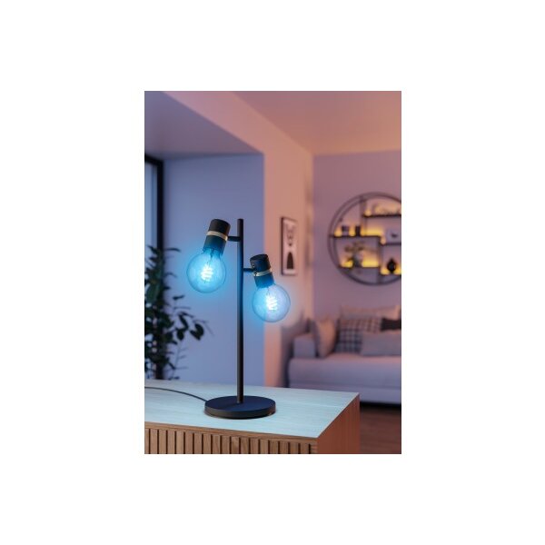 EGLO Ampoules E27 110274 connect.Z