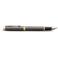 PARKER Stylo plume M 2213777 IM Grey GT