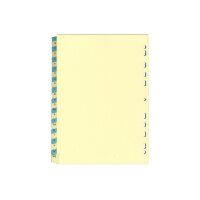 BÜROLINE Répertoire carton A4 40573...